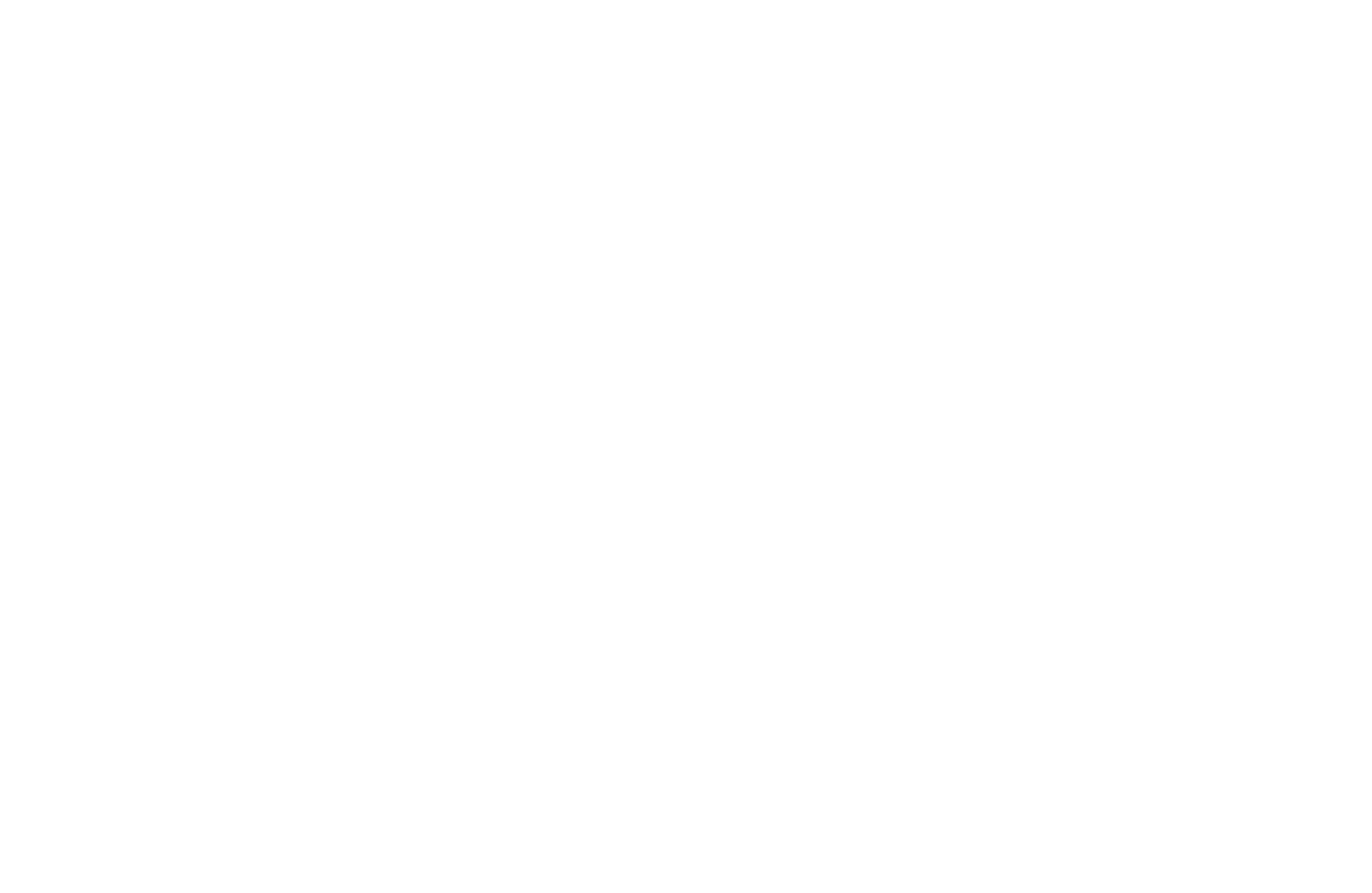 „Pentruder RS2“ schema